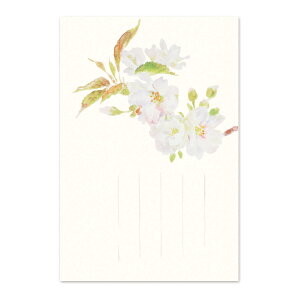 Gt a    Ԍ ͂ ւ |XgJ[h nKL 莆  bZ[WJ[h TN z A|G߂̊G͂mtnT̍