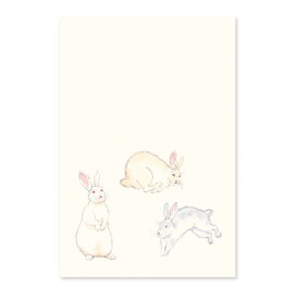 和紙の絵葉書 ウサギ rabbit かわいい 卯年 ご挨拶 牧場還暦祝い 兎年 年賀状 ハガキ ポストカード お礼状 飾り干支年賀はがき 跳ねるうさぎ 2枚入