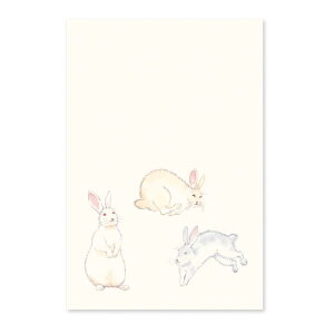 N nKL  Gt ETM rabbit 킢 KN A җj eN |XgJ[h  |xN͂ ˂邤 2