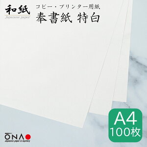 y|Xgz 򏑎  A4 100 a Rs[Ev^[p CNWFbg [U[ Ή a4  p    j    A