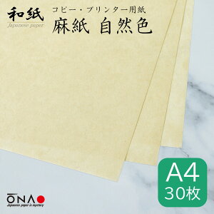 y|Xgz RF A4 30a Rs[Ev^[p CNWFbg [U[ Ή a4 { Rf i A[g