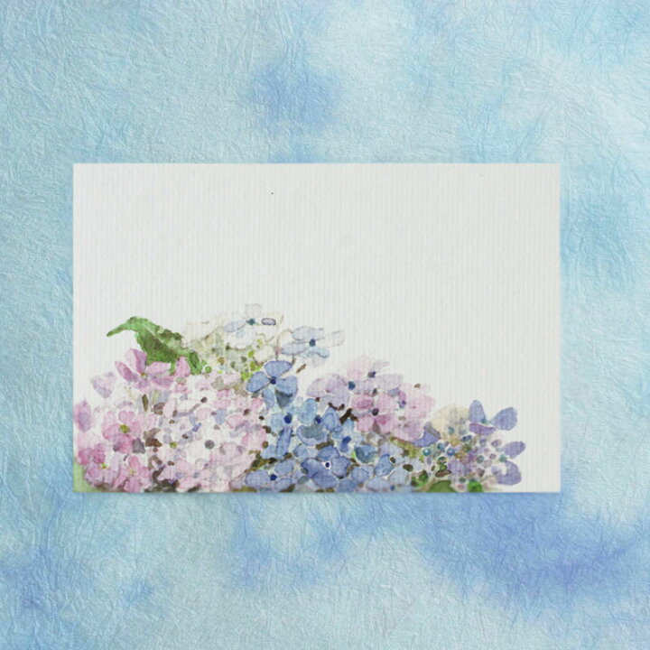 楽天市場 和紙の絵葉書 紫陽花 イラスト ポストカード 手紙季節の絵はがき 初夏 あじさい 横 和紙の店 めでたや 楽天市場店