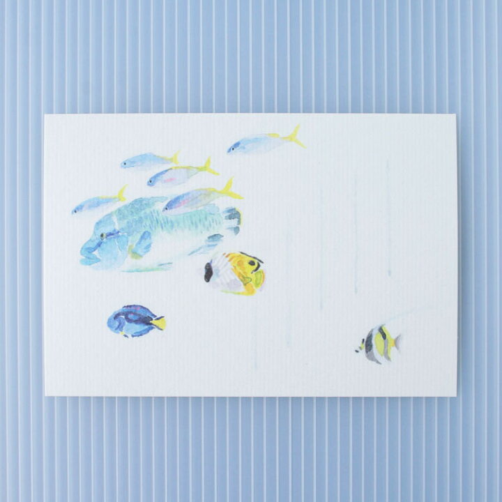 楽天市場 和紙の絵葉書 海 イラスト ポストカード 季節の絵はがき 夏 熱帯魚 和紙の店 めでたや 楽天市場店