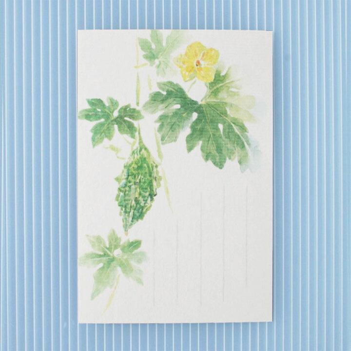 楽天市場 和紙の絵葉書 にがうり 苦瓜 盛夏 夏野菜 ポストカード 手紙 季節の絵はがき 夏 ゴーヤ 和紙の店 めでたや 楽天市場店