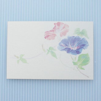 楽天市場 季節の絵はがき 夏 朝顔 横 和紙の店 めでたや 楽天市場店