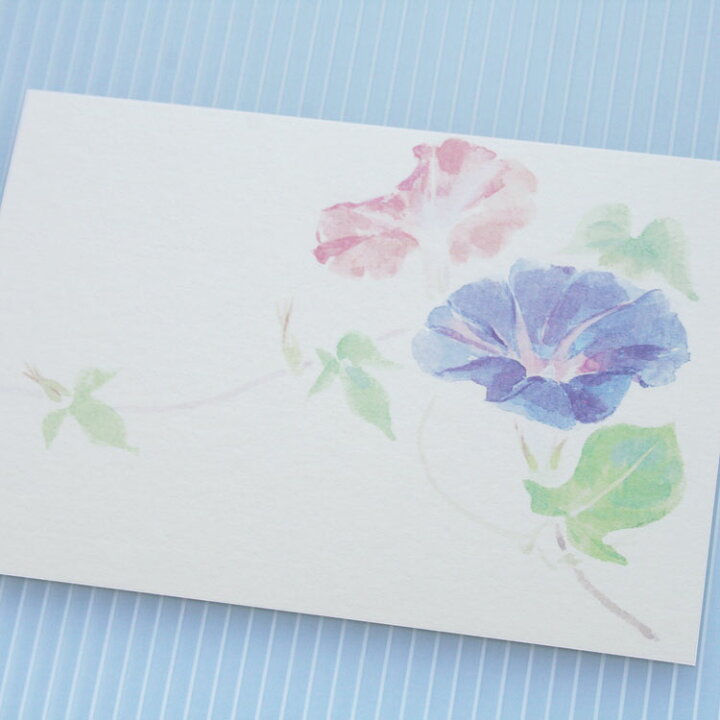 楽天市場 和紙の絵葉書 夏の風物詩 あさがお イラスト ポストカード 手紙 季節の絵はがき 夏 朝顔 横 和紙の店 めでたや 楽天市場店
