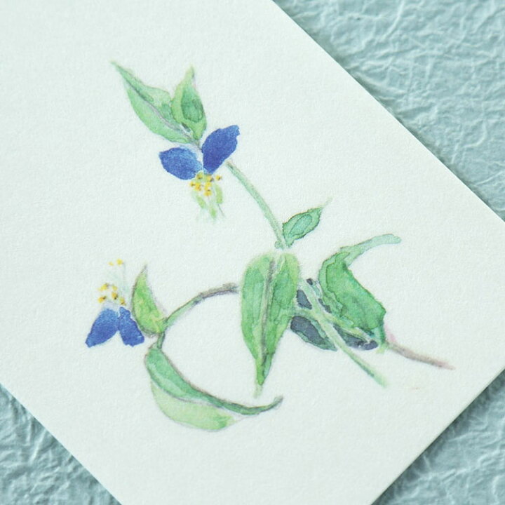 楽天市場 和紙の便箋 夏の草花 ご挨拶 添え状 手紙肌吉紙一筆箋 夏の花 和紙の店 めでたや 楽天市場店