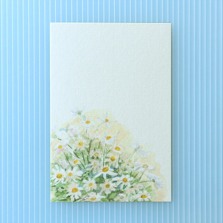 楽天市場 和紙の絵葉書 草花 イラスト ポストカード 手紙季節の絵はがき 端午 初夏 マーガレット 和紙の店 めでたや 楽天市場店