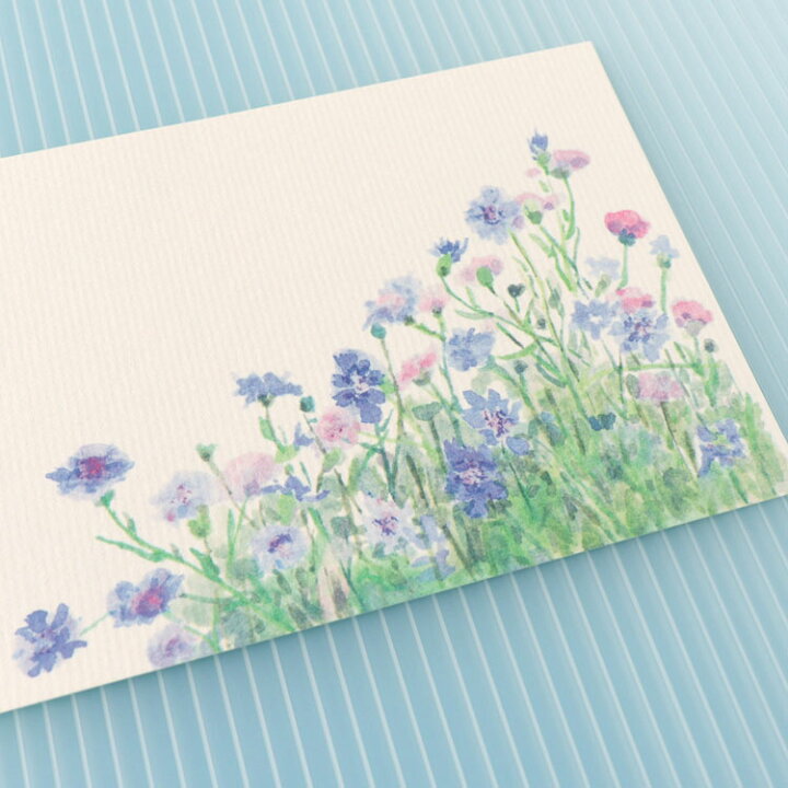 楽天市場 和紙の絵葉書 ヤグルマギク 草花 イラスト ポストカード 手紙 季節の絵はがき 初夏 矢車菊 和紙の店 めでたや 楽天市場店