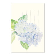 絵葉書 紫陽花 和紙 あじさい アジサイ 甘茶 梅雨 ご挨拶 お便り ポストカード 手紙 引っ越し お礼状 メ…