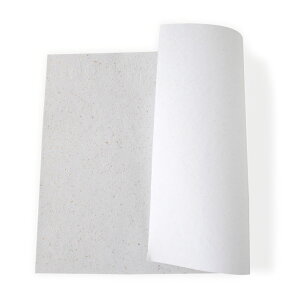 a ܌` @ ܂` ݉H|ݎ E⍻qUy40.5×56cmz1