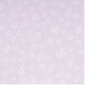 a F̎q VN e ނ炳×p[i321-jy40 × 55cmz1