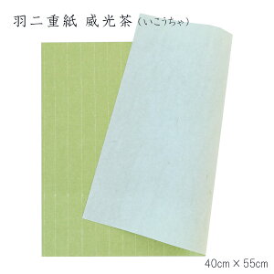 a ܌` @ ܂` y[p[ O[  މHd Ќ  (1)y40×55cmz