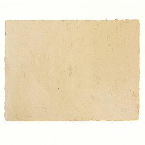 a 荗 t 唻 H  `}bg ~ Jgi[W    ^ y[p[ AoJ TS|荗 AS 1