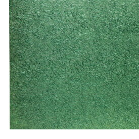 彩光紙（さいこうし）緑 55cm×80cm 1枚