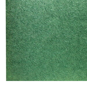  zOa a  n 唻 J[y[p[ P @ۓ p H|i |i i  Ntg |  nhCh jV |ʌij y55cm×80cm^1z