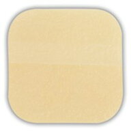 【ゆうパケット発送、送料無料、代引き不可】デュオアクティブET 10cmx10cm　1枚入