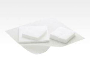 ݌ɂ܂BnN]EgfB @20×20cm@4܁@YJbg@200