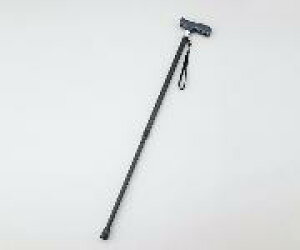 CgtXebLESA-2002BKi܂肽݁j.\LEDCgtŁA铹S!!