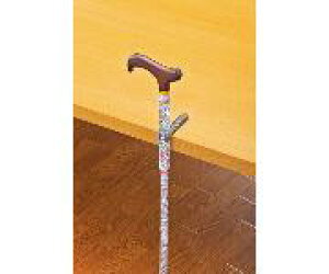 z_[i]΂ʏEK1900E-L.RtjKpTCY21`25immj