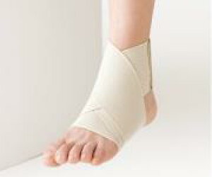 �t�@�V���G�C�h�T�|�[�^�[�F���E���p