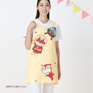 vgGv J[ ANP917 TbNX sN CG[ Ap}