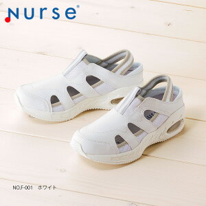 i[XV[Y  xmSi[X i[XtBbgI NO.F-001 zCg jp RہEhLH ÓdCѓdh~