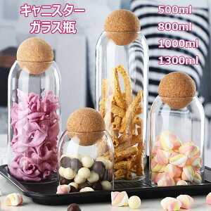 LjX^[ KXr @\ ^N KX^N  ۑe   Hie e ̗t R[q[ LfB[ َq  Lb` KX