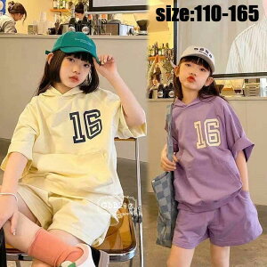 ؍q ZbgAbv  JWA i` tVc Y{ W[W  t[ht vg ̎q X|[cEFA  ][g LbY  JWA ꂢ ^