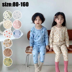 yubNtCf[P5{z pW} LbY  ZbgAbv qpW} ̎q j̎q xr[ vg tH Y{ [EFA  킢   Q iCgE