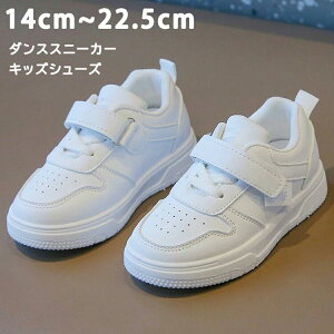 y5P1+2{UPz _XXj[J[ LbYV[Y xr[ jOV[Y ^C [Jbg w ʉ ʊw y xr[C X|[c JWAV[Y q ^p LbY_X