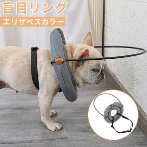 ӌ ӖڃO GUxXJ[ \tg ӌ Z[tO ی샊O Փ˖h~ S sDp  p r r h~ s⏕ ߉  ӖڌO ڂ̕sR 