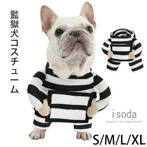  nEB RX`[ L VX^[ lRX`[ YRX`[  hbOEFA EȒP ybgEFA RX`[ ^ ϑ ybg  L  ϐg o