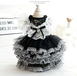 y5P1+2{UPz hbOEFA  s[X ybg Lm [X {t Ȃ tďH ̕ Pl [X hX XJ[g s[X lC t@bV ^ 