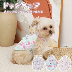 ��2�_set������ �h�b�O�E�F�A �y�b�g�� �t�ďH�~ �� �����i �M�t�g �v���[���g �a���� �����^���^���^�� �h�b�O�E�F�A S-2XL �� ���킢�� �M�t�g �v���[���g ���̕� ������� �ĕ� ���o���� �y