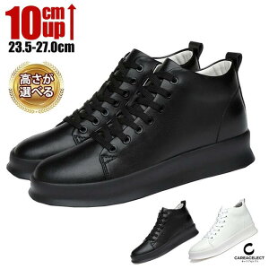 yN[|tz  Xj[J[ Y 10cm 8cm 6cm   nCJbg PUU[ v [XAbv  V[Y C q[Abv wȂ gAbv ₷ y Vv 