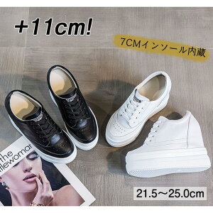 Xj[J[ 10cm gup fB[X Cq[Xj[J[ V[NbgV[Y _bhXj[J[ C _CGbgXj[J[ U[ JWA   wȂ ₷ V