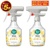 【要エントリー★9月18日 全品P5倍＆送料無料 】まとめ買い リセッシュ 除菌EX 金木犀の香り 410nl×2個