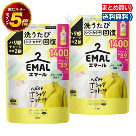 【要エントリー★9/11~9/14 全品P5倍＆送料無料 】まとめ買い エマール EMAL 詰め替え 1400ml 詰替 洗濯洗剤 おしゃれ着 洗たく用洗剤 リフレッシュグリーンの香り
