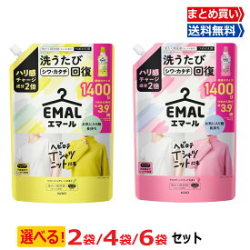 【4/4 20:00~4/10〆 エントリーで全品P10倍＆限定クーポンあり】まとめ買い エマール EMAL 詰め替え 1400ml 洗濯洗剤 おしゃれ着用 詰替 大容量 まとめ買い 2袋 4袋 6袋 リフレッシュグリーン アロマティックブーケ