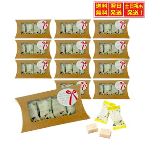 y10/30`11/1聚X|Cg5{z|Cg5{`XI}\TI[`R[g ͂LfB`R[g 4×12Zbg o^C Mtg v[g zC