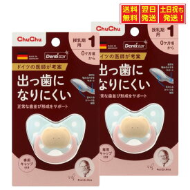 チュチュ おしゃぶり デンティスター 2 (専用キャップ付き) 0ヶ月から授乳期用×2