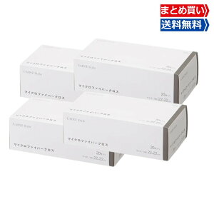 yX[p[SALE聚X|Cg10{z JCY ĝ }CNt@Co[NX20×4 O[