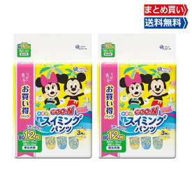 スイミングパンツ BIGサイズ 水遊び用 グーン 12枚×2個 男女共用 ディズニーデザイン おむつ パンツタイプ 夏 プール 海