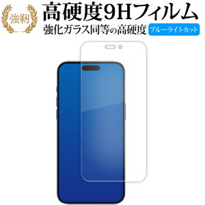 Apple iPhone 15 Pro Max tی tB KX   dx9H u[CgJbg NA^Cv  ݊i Lۏؕt