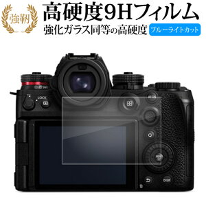 Panasonic LUMIX S1RII G99II tی tB KX   dx9H u[CgJbg NA^Cv  [֑ ݊i Lۏؕt