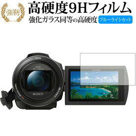 SONY デジタルビデオカメラ ハンディカム FDR-AX60 FDR-AX45 FDR-AX55 FDR-AX40 専用 強化 ガラスフィルム と 同等の 高硬度9H ブルーライトカット 光沢タイプ 改訂版 液晶保護フィルム