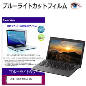 天空 TENKU MOBILE S10 [10.51インチ] 保護 フィルム カバー シート ブルーライトカット 光沢 液晶保護フィルム 互換品 有償交換保証付き
