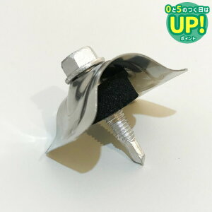 Snp grX y32gp 100{z|JgEKogɎgp (XeX)M5×25