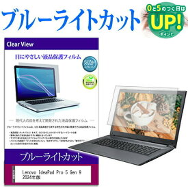 Lenovo IdeaPad Pro 5 Gen 9 2024年版 [14インチ] 保護 フィルム カバー シート ブルーライトカット 光沢 液晶保護フィルム 互換品 有償交換保証付き